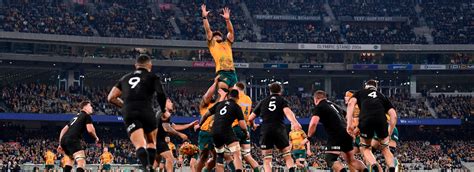 bledisloe cup sydney 2024